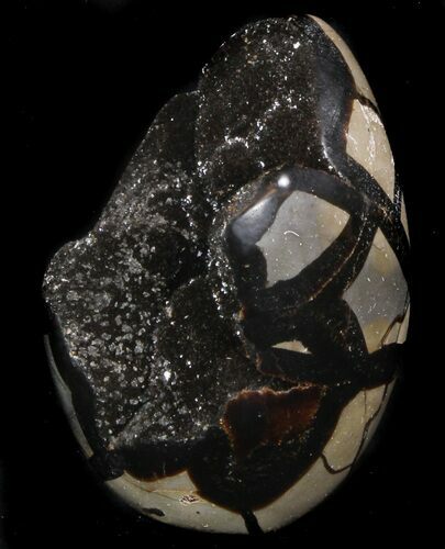 Polished Septarian Geode Sculpture - Black Crystals #37129
